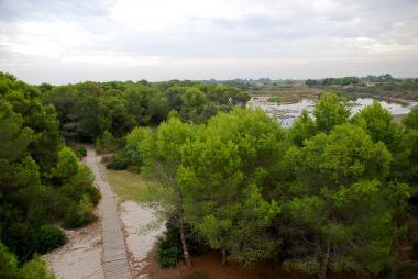 Přírodní park s’Albufera